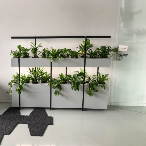 The Greenest Company - Space Plant